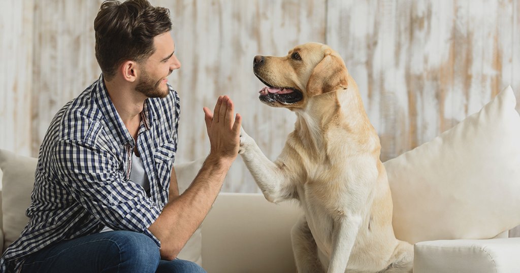 Cuidado de Mascotas en Casa: Convierte tu Amor por los Animales en Ganancias Conviértete en Cuidador de Mascotas: Oportunidad de Negocio en Casa, Flexible y Gratificante